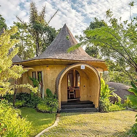 Jungleight Bali