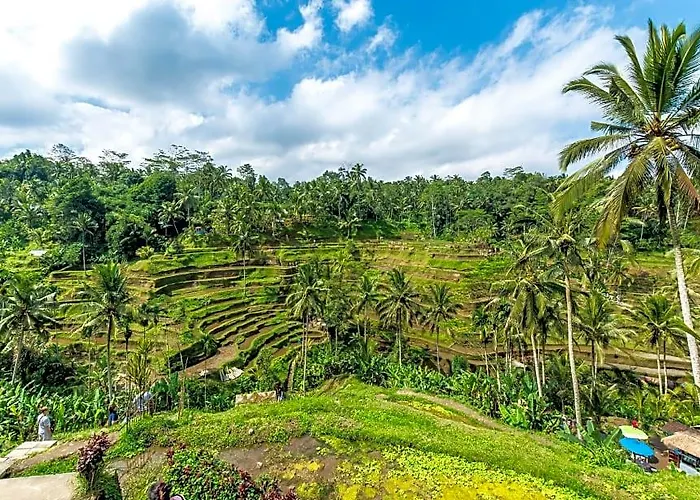 Jungleight Bali Hotel 4*